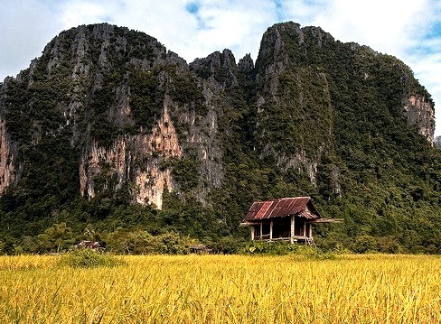 Hut in a paddy field, Vang Vieng, Laos