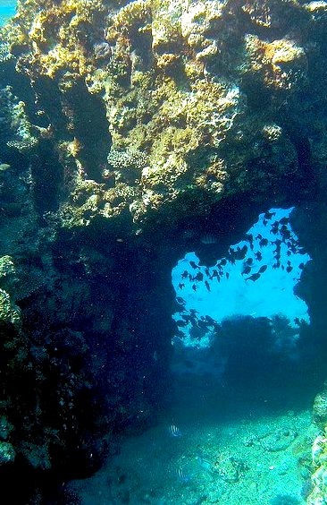 Underwater passage in The Red Sea, near Eilat, Israel