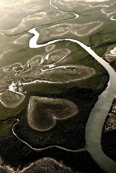 Heart-shaped swamp in Loyalty Islands, New Caledonia