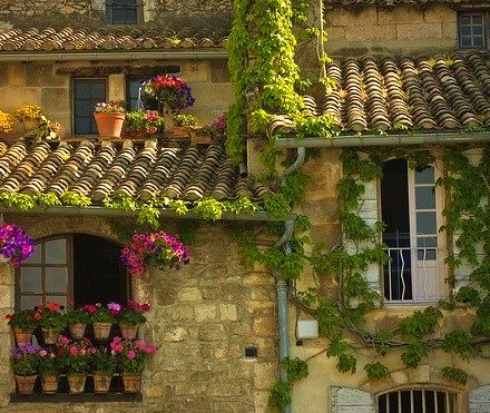 Tile Roof, Provence, France
