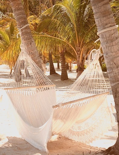Victoria House beach hammock, Ambergris Caye, Belize