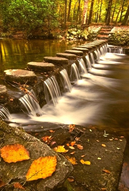 Stepping Stones, Shimna River, Tollymore Forest Park, Ireland