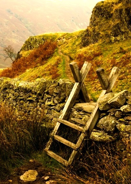 Stone Wall Ladder, Cumbria, England