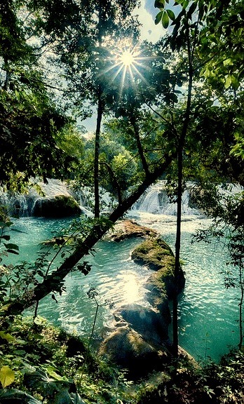 Peering through the trees, Agua Azul Waterfalls in Chiapas, Mexico
