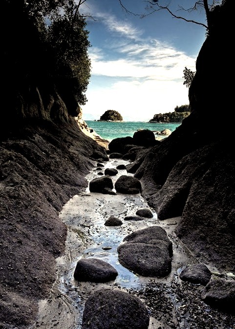 Small canyon in Abel Tasman National Park, New Zealand